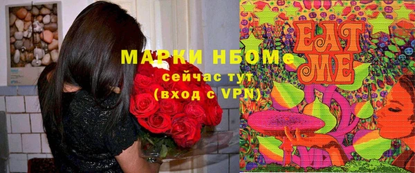 прущие крисы Новозыбков