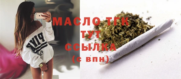 ECSTASY Ельня