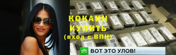 прущие крисы Новозыбков