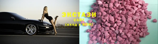 ECSTASY Ельня