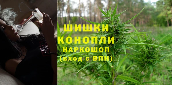 прущие крисы Новозыбков
