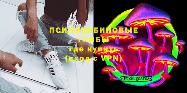ECSTASY Ельня