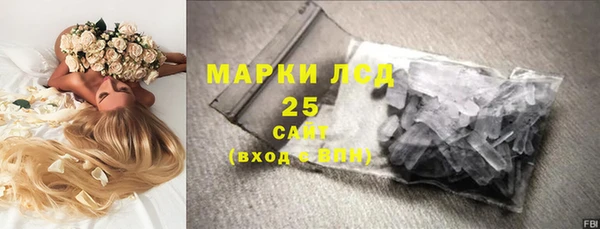 ECSTASY Ельня