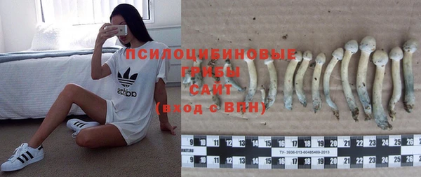 мяу мяу мука Новокубанск