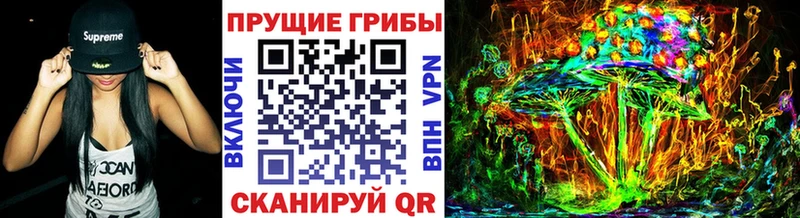 площадка Telegram Сельцо Псилоцибиновые грибы GOLDEN TEACHER